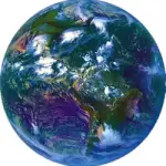 Consumi in 5 anni + 28%