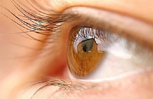occhio retina